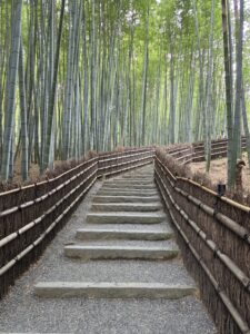 嵐山　竹林　化野念仏寺
