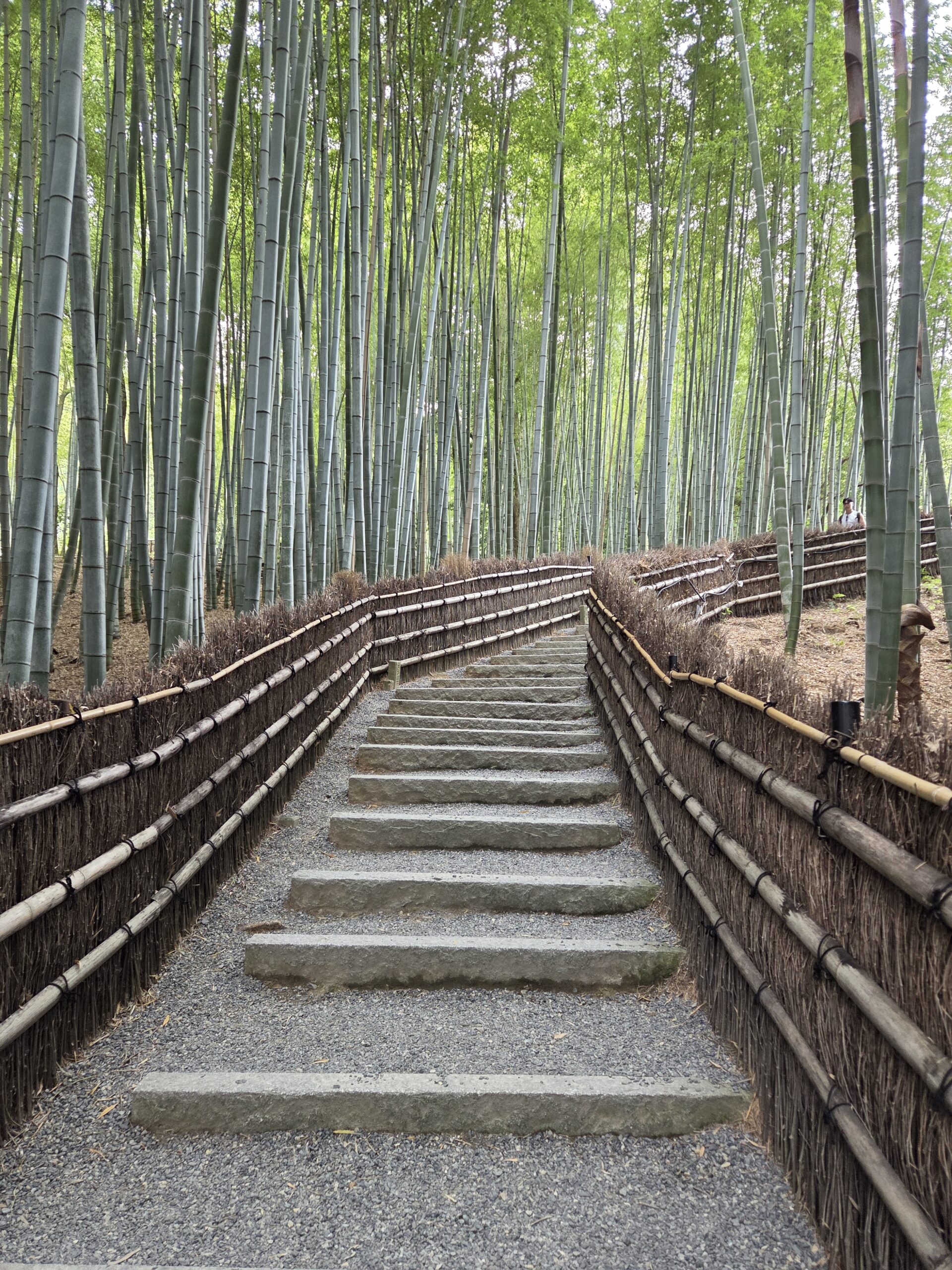 嵐山　竹林　化野念仏寺