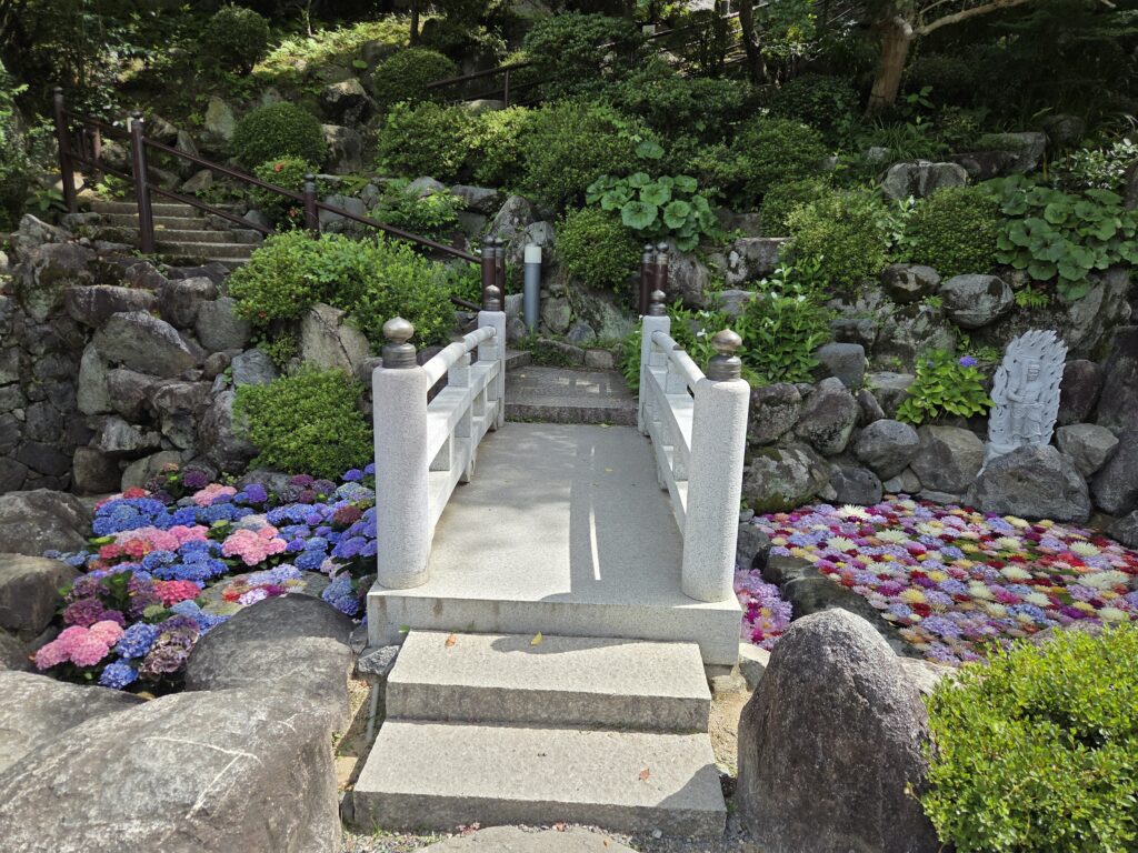 奈良県明日香村の岡寺に咲くあじさい